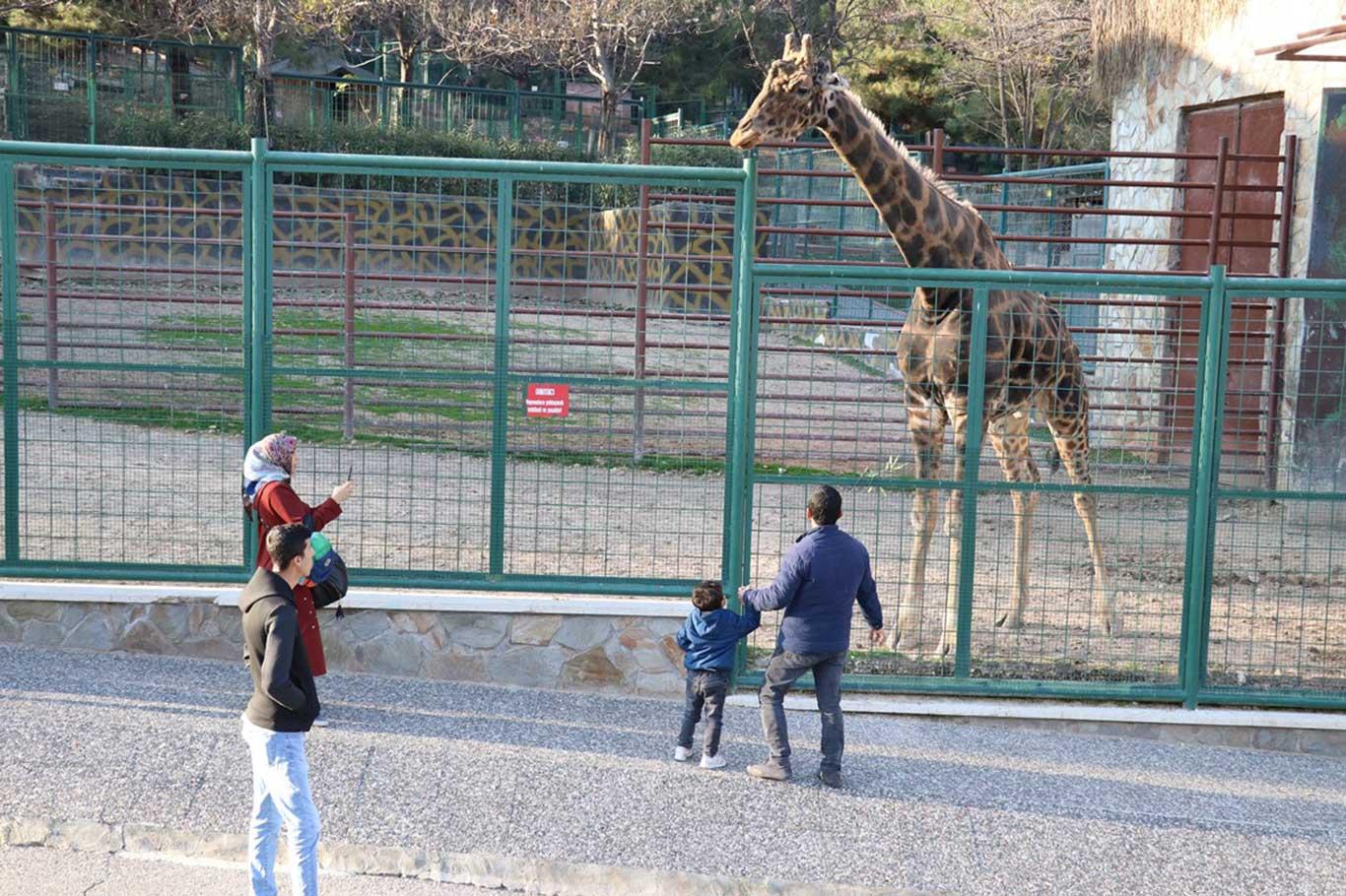 Gaziantep Hayvanat Bahçesi'ne rekor ziyaretçi Gaziantep Hayvanat Bahçesi'ne rekor ziyaretçi